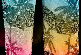 EVERGREEN PRISMA INTERNATIONAL GOES CANNES