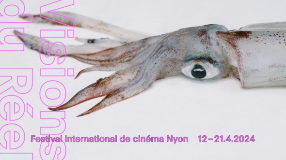 Evergreen Prisma Joint Network goes Vision du Réel 2024