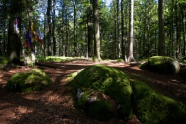 AUFGETISCHT IM SÜDLICHEN WALDVIERTEL