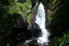 Aufgetischt im südlichen Waldviertel