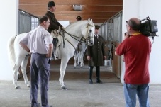 Radetzkys berühmte Nachbarn - Die Lipizzaner am Heldenberg