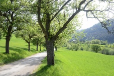 Aufgetischt im Piestingtal