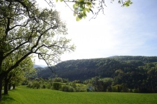 Aufgetischt im Piestingtal