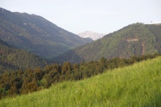 Aufgetischt im Piestingtal