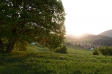 Aufgetischt im Piestingtal