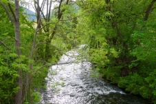 Aufgetischt im Piestingtal