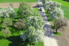 Geheimnisvolles Donautal – Der Nibelungengau und Strudengau in NÖ