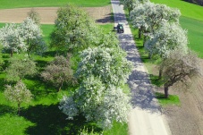 Geheimnisvolles Donautal - Der Nibelungengau und Strudengau in NÖ