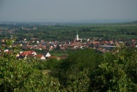 AUFGETISCHT IM KAMPTAL