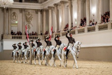 Die Lipizzaner - Könige und Krieger