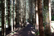 Auf schmalen Spuren - Eine Entdeckungsreise entlang der Waldviertelbahn