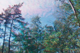 ROJO ŽALIA BLAU