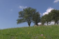 Die Wiener Alpen - Unterwegs bei Freunden