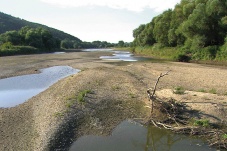 Universum: Fluss ohne Grenzen - Auenwildnis an der March