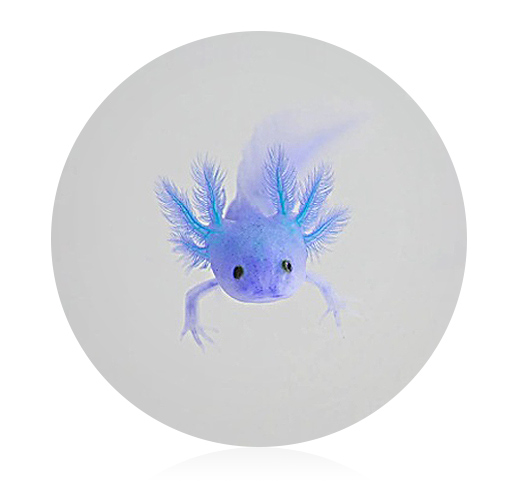 EVERGREEN PRISMA° IN LATEST NEWS & PRESS